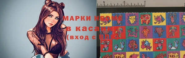 стафф Алзамай