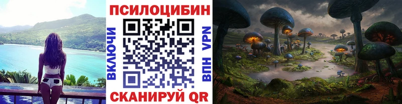 Псилоцибиновые грибы прущие грибы  Нижнеудинск 